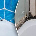 Pleśń na szwach wyparuje bez śladu: ujawniono prostą i skuteczną